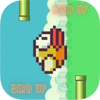 PLay Bird Up now!