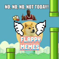 Play Flappy Meme now!